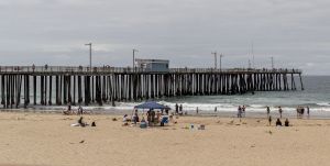 Pismo State Beach - by Dietmar Rabich - Wikimedia